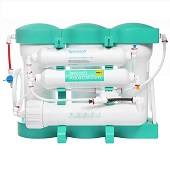 Фильтр обратного осмоса Ecosoft P’URE AQUACALCIUM Mint (MO675PUREMACECO) - фото