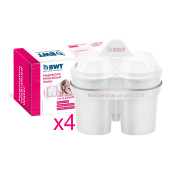 Картридж для фильтра BWT Duomax Magnesium (упаковка 4шт) - фото