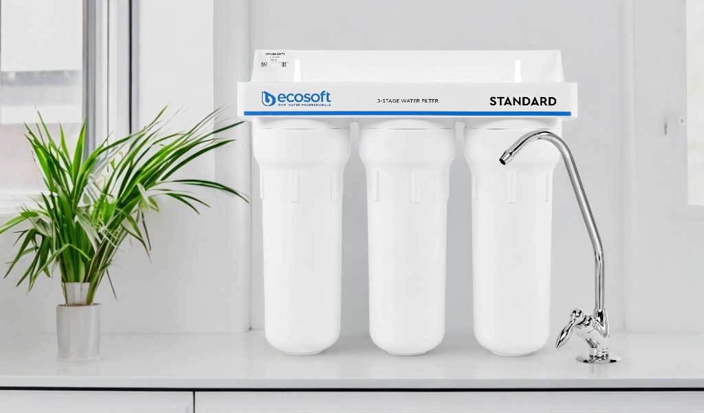 Ecosoft Standard FMV3ECOSTD Ecosoft Standard FMV3ECOSTD