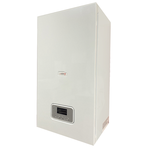 Електричний котел Protherm Ray (Скат) 14KE/14 (0010023649) - фото