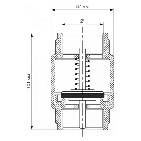 Обратный клапан Bonomi EUROPA Ø2'' PN18 -20/+100°C, латунный шток (10000014) - фото