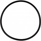 Уплотнительное кольцо для фильтров Гейзер Тайфун Вig Blue - фото