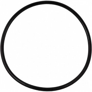 Кільце ущільнювальне для фільтрів Гейзер Тайфун ВВ - фото