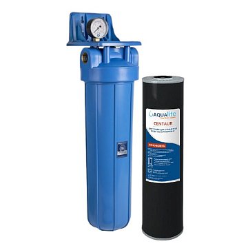 Фільтр для видалення сірководню Aquafilter FH20B1-B-WB/H2S G1'' (латунь) 20BB 45°C 8bar з манометром (картридж Centaur) - фото