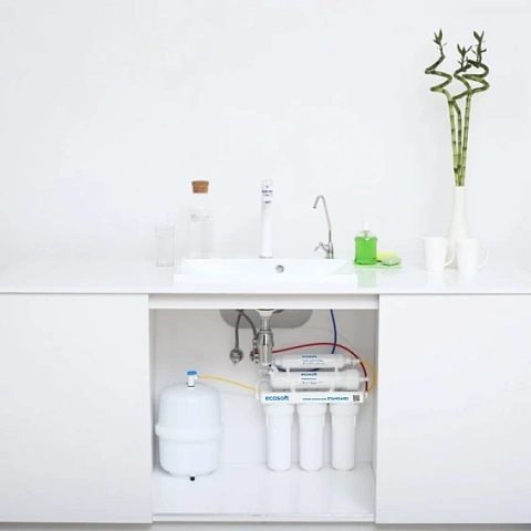 Фильтр обратного осмоса Ecosoft Standard со смесителем Grohe Blue Pure StartCurve (MO55030592) - фото