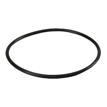 Уплотнительное кольцо для корпуса мембраны Aquafilter OR-N-620X40 - фото