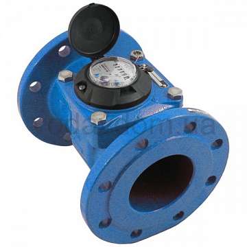 Промисловий лічильник холодної води Apator MWN-100 ХВ 4'' - фото