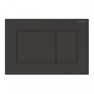 Смывная клавиша (панель) Geberit Sigma 30 черный матовый (115.883.16.1) - фото