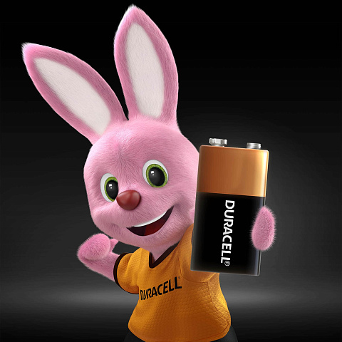 Щелочные батарейки Duracell Basic 6LR61 MN1604 9V - фото
