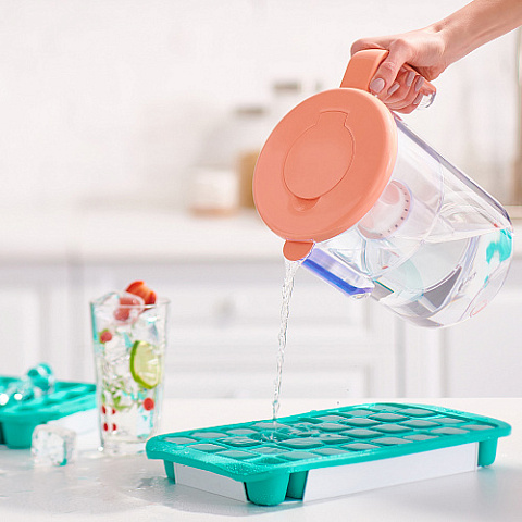 Фильтр кувшин Ecosoft Dewberry Shape оранжевый - фото