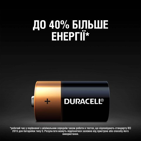 Щелочные батарейки Duracell Basic C (LR14) MN1400 2шт - фото