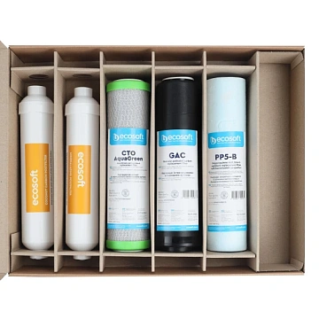 Комплект картриджів Ecosoft Absolute ''6 місяців'' (CHV5ECOABS) - фото