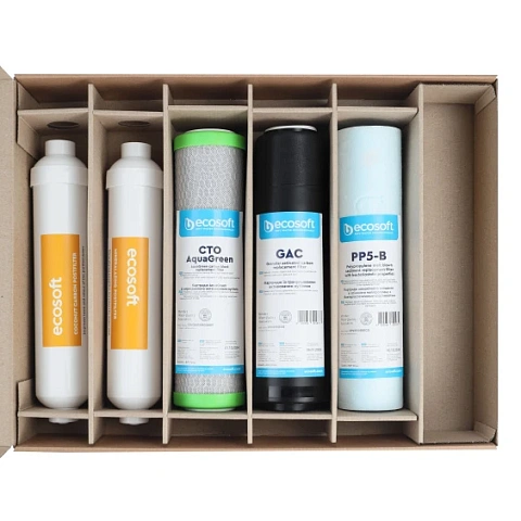 Комплект картриджів Ecosoft Absolute ''6 місяців'' (CHV5ECOABS) - фото