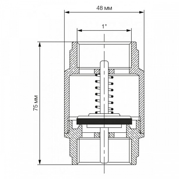 Обратный клапан Bonomi EUROPA Ø1'' PN25 -20/+100°C, латунный шток (10000008) - фото