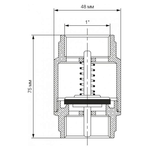 Обратный клапан Bonomi EUROPA Ø1'' PN25 -20/+100°C, латунный шток (10000008) - фото