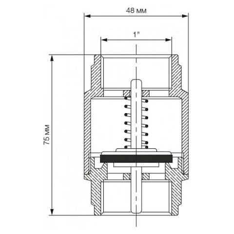 Обратный клапан Bonomi EUROPA Ø1'' PN25 -20/+100°C, латунный шток (10000008) - фото