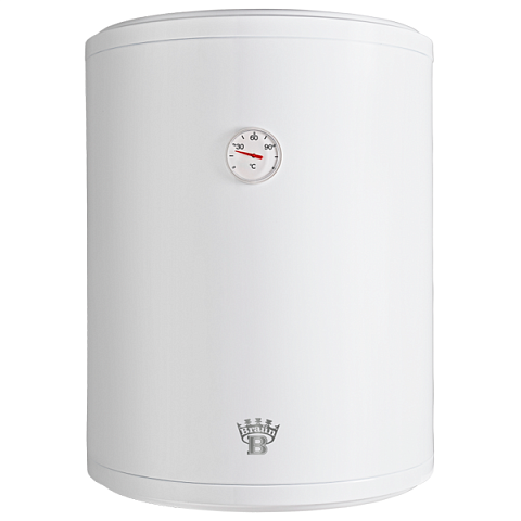 Бойлер Bandini Braun ECO 100R - фото