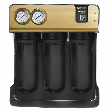 Фильтр обратного осмоса Ecosoft RObust PRO 75л/час (без бака) - фото