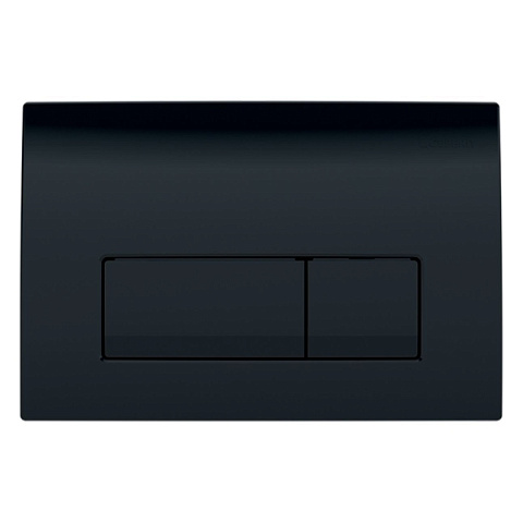 Смывная клавиша (панель) Geberit Delta 51 черная (115.105.DW.1) - фото