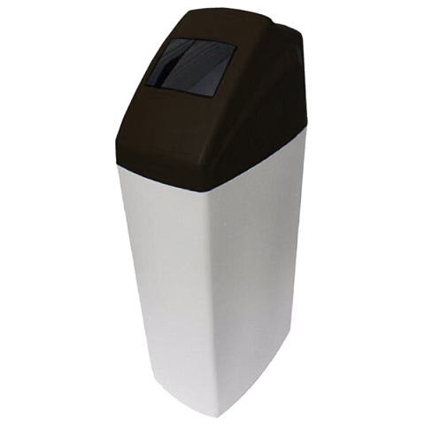 Фільтр пом'якшення води Aqualite EV 1017 CABF65 (Runxin - фото