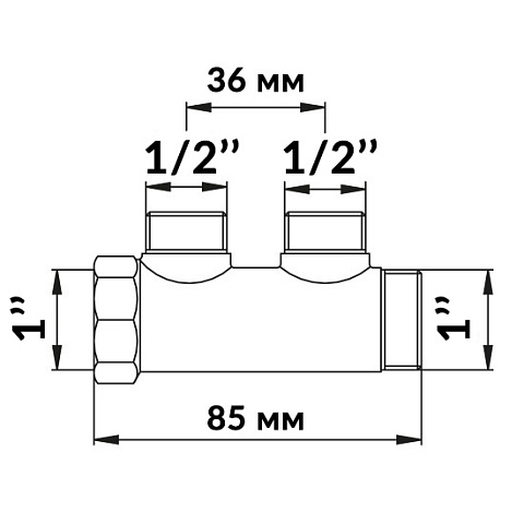 Колектор Bianchi 202 1''x1/2'' з 2 виходами - фото
